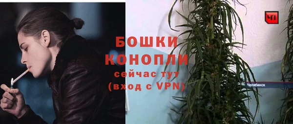 каннабис Новозыбков