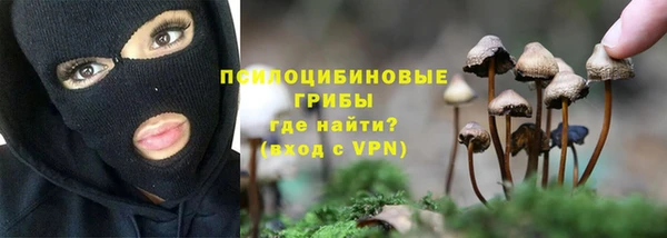 каннабис Новозыбков