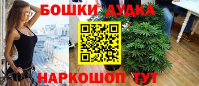 прущие крисы Заводоуковск