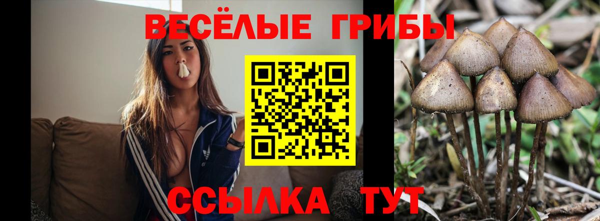 Псилоцибиновые грибы мицелий  Вход с VPN  Галлюциногенные грибы ЛСД  Саратов 